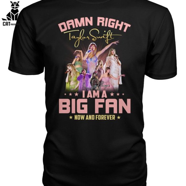 Damn Right Taylor Swift I Am A Big Fan Now And Forever Unisex T-Shirt