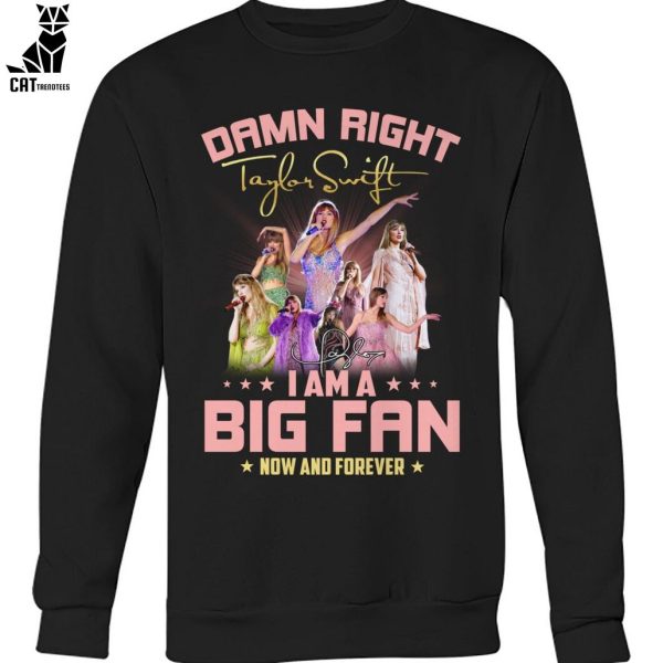 Damn Right Taylor Swift I Am A Big Fan Now And Forever Unisex T-Shirt