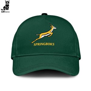 South Africa Rugby World Champions Springboks Nike Logo Black Design 3D Polo Shirt