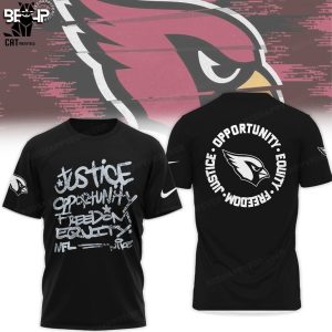 Arizona Cardinals Justice Opportunity Equity Nike Logo Design 3D Hoodie